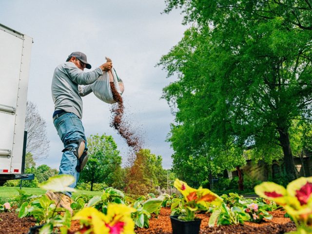 How Landscaping Companies Can Win Big with New Movers